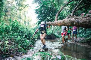 BIB: 
                            <button type="button" onclick="openModal(25432904)" class="btn btn-primary btn-sm float-right btn-popup" data-toggle="modal" data-target=".modal-high-quality">
                        <i class="fas fa-shopping-cart"></i> Add to Cart
                    </button>
                                            <button type="button" onclick="isThisMe(25432904, true)" class="btn btn-success btn-sm float-right btn-popup btn-isme hidden" data-toggle="tooltip" data-placement="bottom" title="นี่คือรูปของคุณใช่ไหม คลิกที่นี่เพื่อเอาเข้าอัลบั้ม">
                        <i class="fas fa-plus"></i> Add to album
                    </button>
                    <button type="button" onclick="isThisMe(25432904, false)" class="btn btn-warning btn-sm float-right btn-popup btn-isnotme hidden">
                        <i class="fas fa-ban"></i> Remove from album
                    </button>